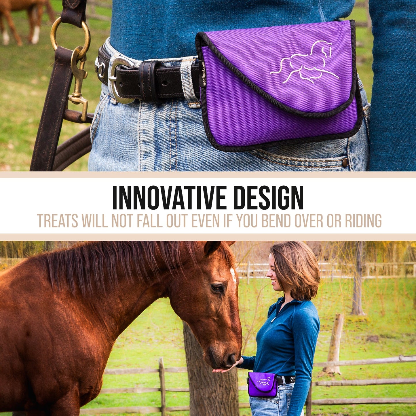 Horse Treat Pouch