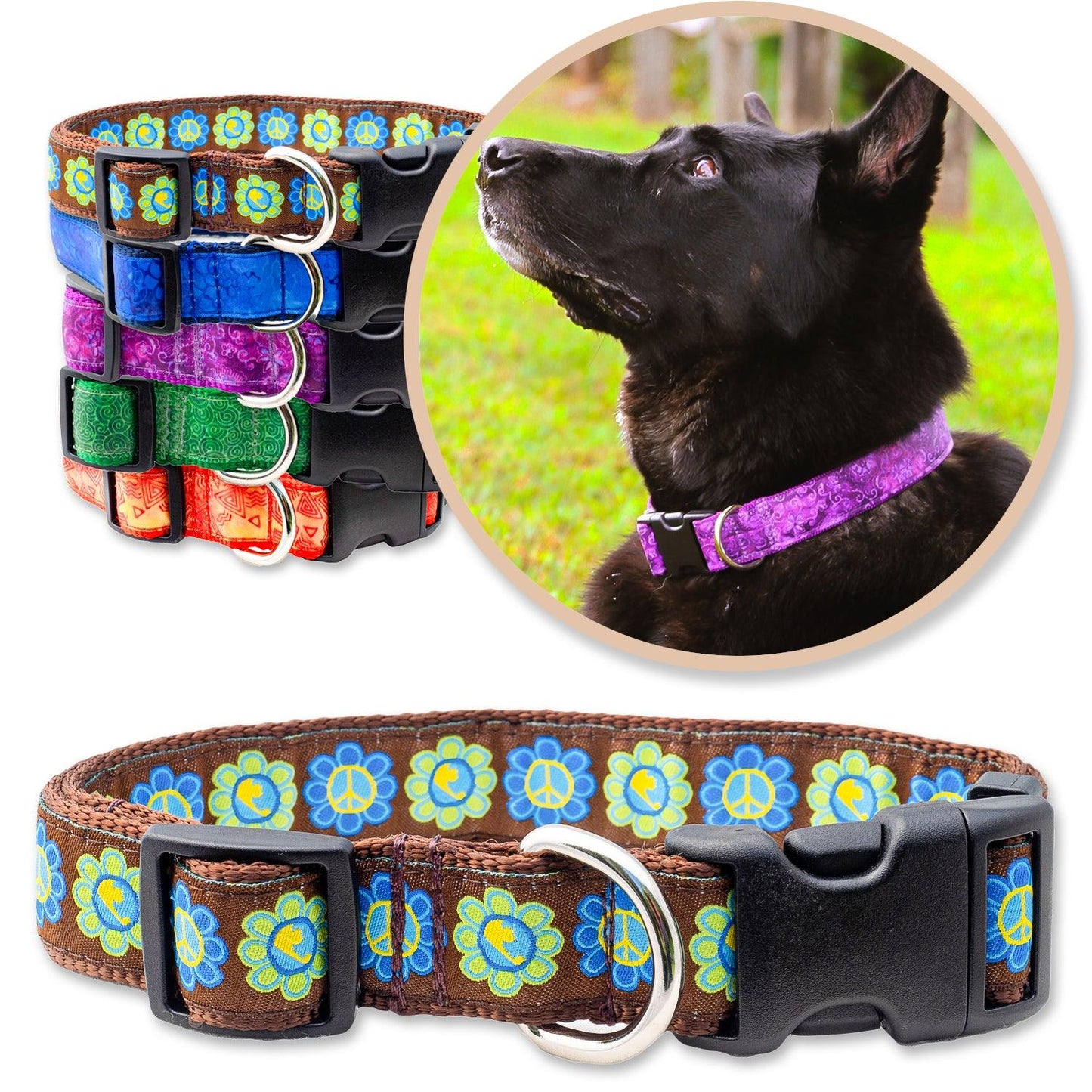 Brown Dog Collar shown with a variety of colors shown with a black dog wearing a purple collar