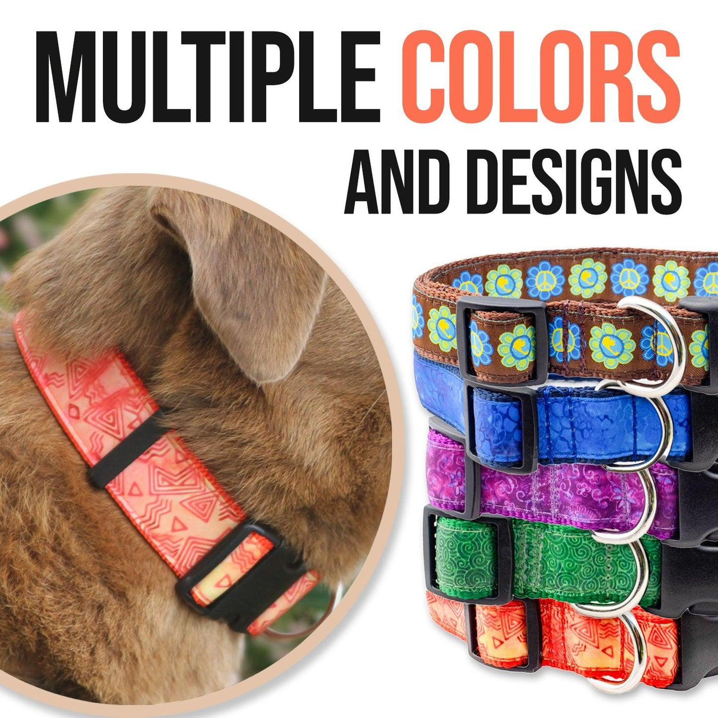 Brown dog wearing an orange collar shown with a variety of other colors