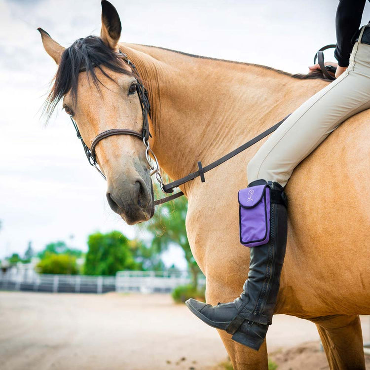 Horse Accessories