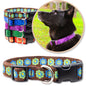 Brown Dog Collar shown with a variety of colors shown with a black dog wearing a purple collar