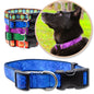 Blue Batik Inspired Dog Collars shown with a variety of colors shown with a black dog wearing a purple collar